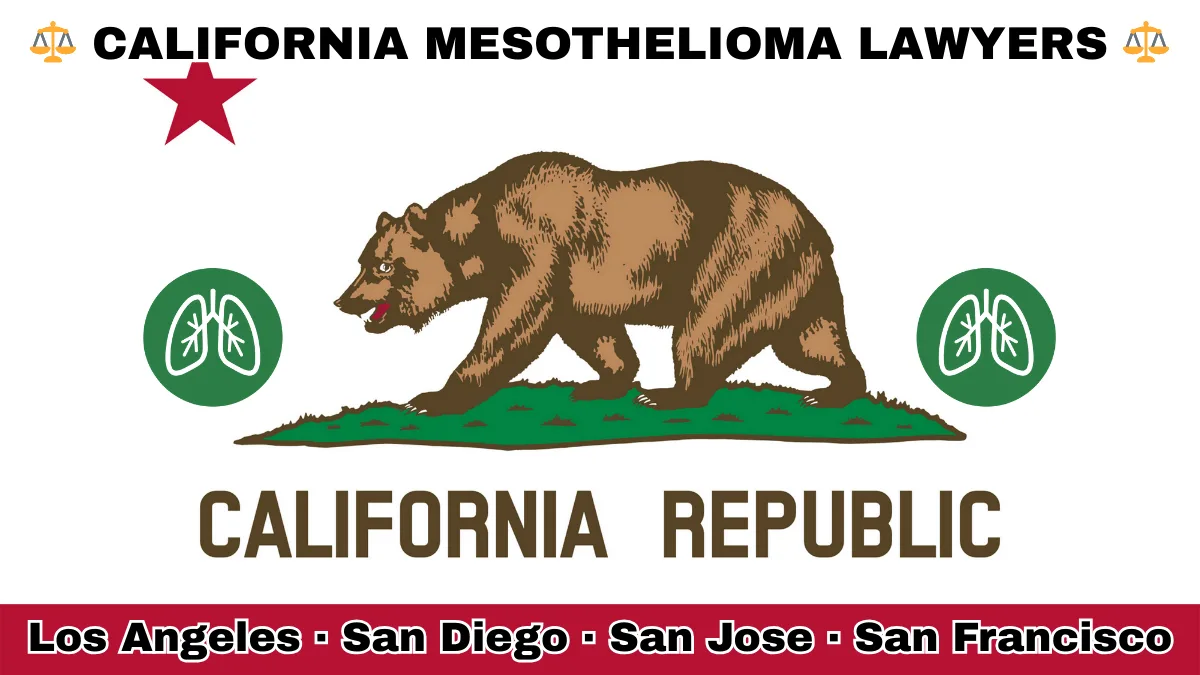 CALIFORNIA MESOTHELIOMA LAWYERS: Los Angeles, San Diego, San Jose, and San Francisco text on CA state flag with lungs depicted near a grizzly bear and red star.